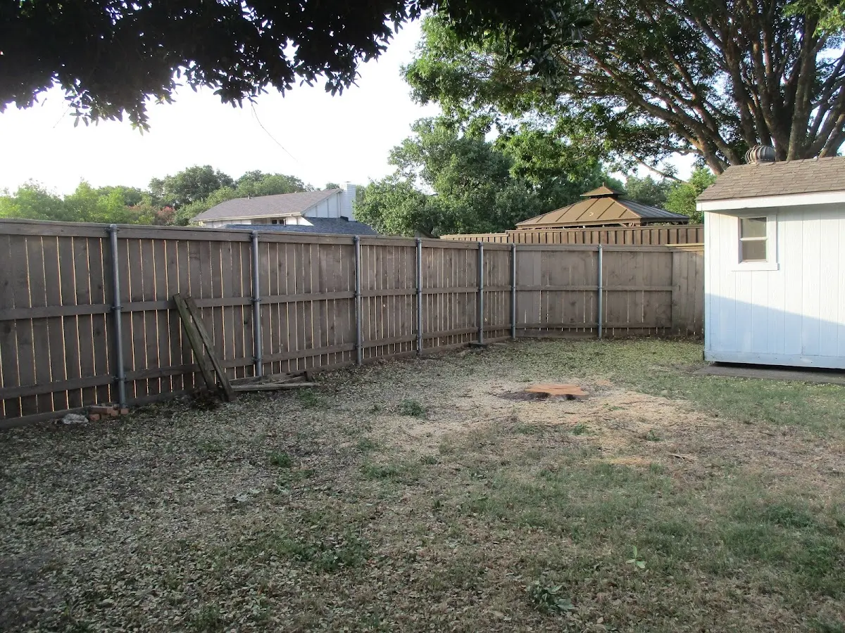 Cleared yard after professional tree removal in Oglesby
